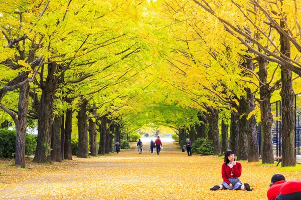 A rua nas proximidades Meiji Jingu Gaien que tem belo Ginkgo al — Fotografia de Stock