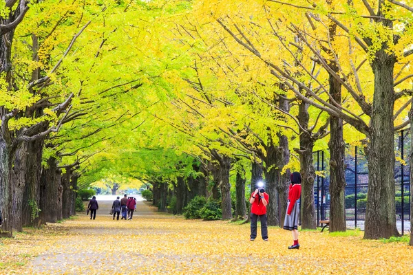 De straat in de buurt van Meiji Jingu Gaien met mooie Ginkgo al — Stockfoto