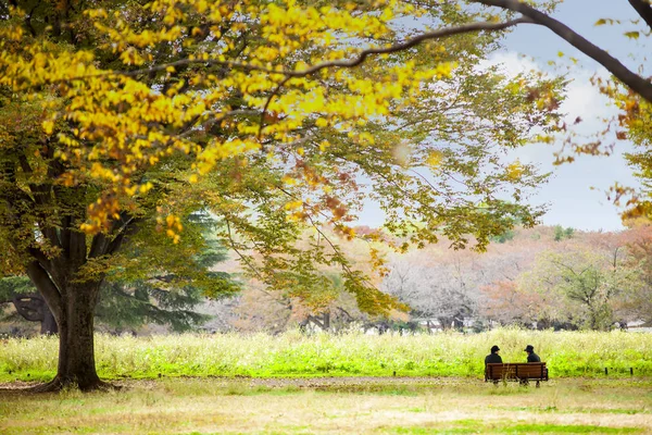 The street nearby Meiji Jingu Gaien that has beautiful Ginkgo al — Stock Photo, Image