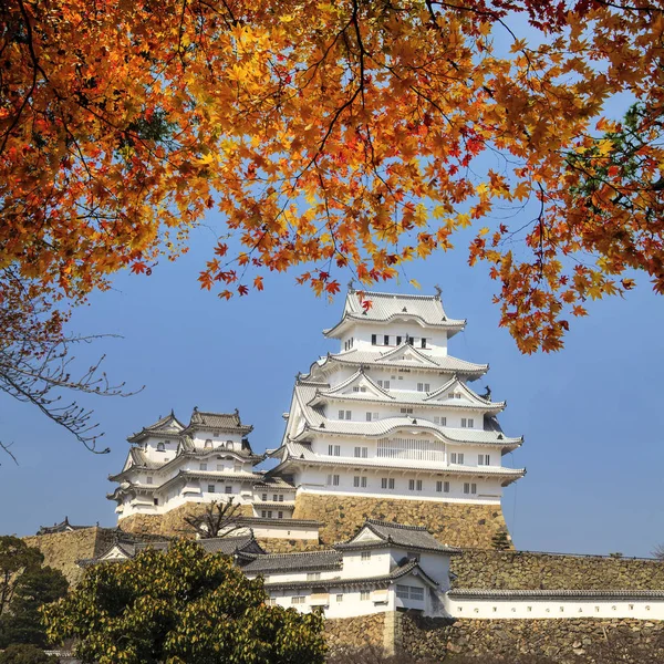 Krásný japonský hrad Himedži a javorový strom — Stock fotografie
