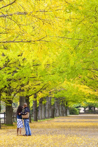 Yolun Meiji Jingu Gaien güzel Ginkgo al olan yakın — Stok fotoğraf