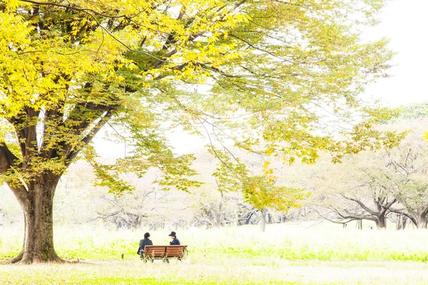 Вулиці неподалік Мейдзі галузь Gaien, який має гарний Ginkgo Аль — стокове фото