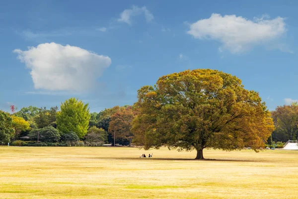 Gatan i närheten Meiji Jingu Gaien som har vackra Ginkgo al — Stockfoto