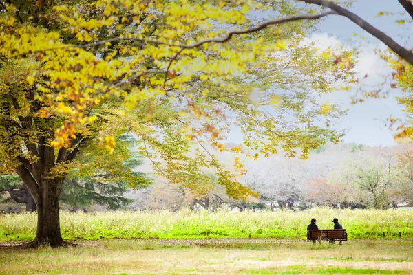 The street nearby Meiji Jingu Gaien that has beautiful Ginkgo al — Stock Photo, Image