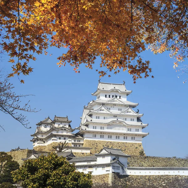 Krásný japonský hrad Himedži a javorový strom — Stock fotografie