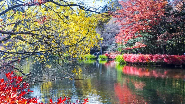 Beautiful karuizawa during the fall season, Japan — Stock Photo, Image