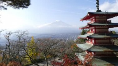 Mt. Fuji Imaging ile kırmızı akçaağaç sonbahar yaprakları, Japonya