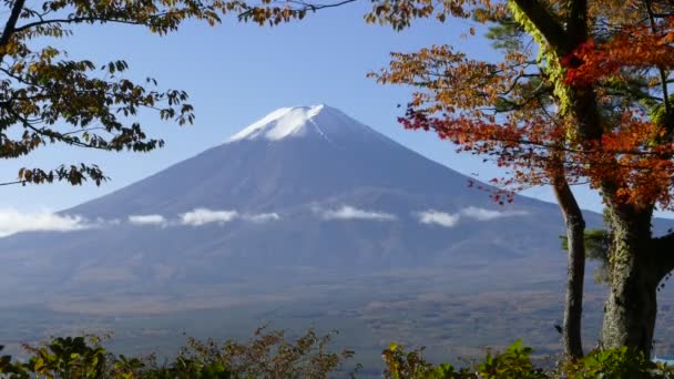 Mt. Fuji Imaging ile kırmızı akçaağaç sonbahar yaprakları, Japonya — Stok video
