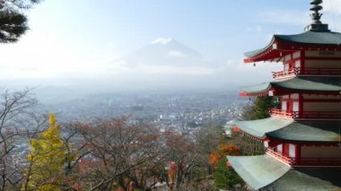Mt. Fuji Imaging ile kırmızı akçaağaç sonbahar yaprakları, Japonya
