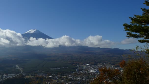 Imaging Mt. Fuji liści jesienią z klon czerwony, Japonia — Wideo stockowe