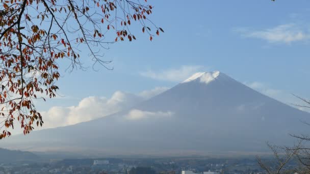 Imagiologia de Mt. Outono de Fuji com folhas vermelhas de bordo, Japão — Vídeo de Stock