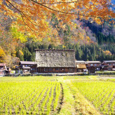 Shirakawa-go ve Gokayama, J Historic köylerin sezon sonbahar