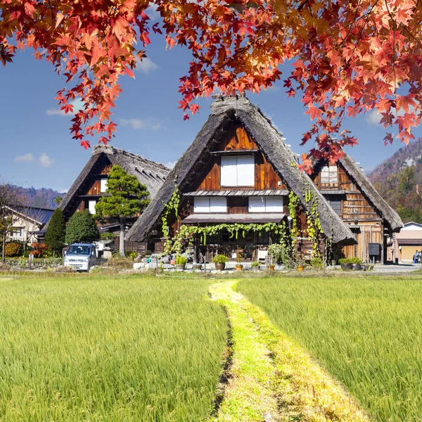 Shirakawa-go ve Gokayama, J Historic köylerin sezon sonbahar — Stok fotoğraf