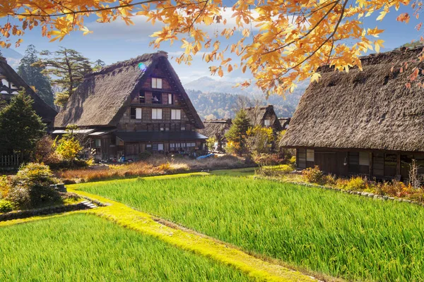 Stagione autunnale dei villaggi storici di Shirakawa-go e Gokayama, J — Foto Stock