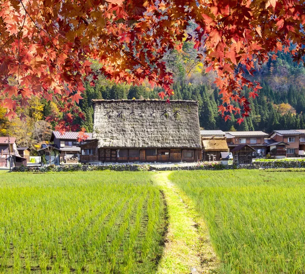 秋天的白川乡和五崮山、 J 历史村庄 — 图库照片