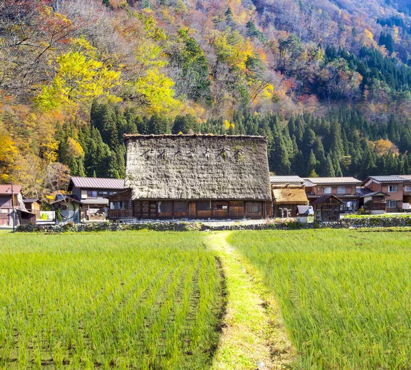 Vallen seizoen van historische dorpen van Shirakawa-go en Gokayama, J — Stockfoto