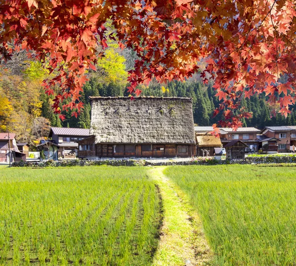 Shirakawa-go ve Gokayama, J Historic köylerin sezon sonbahar — Stok fotoğraf