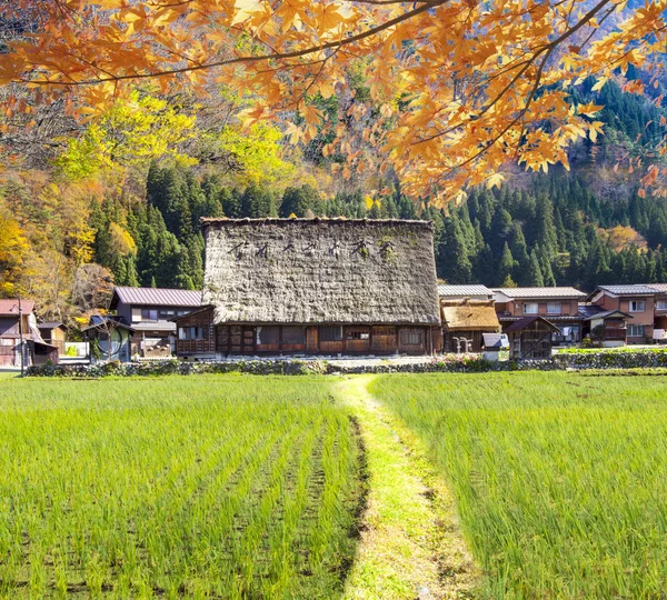 Shirakawa-go ve Gokayama, J Historic köylerin sezon sonbahar — Stok fotoğraf