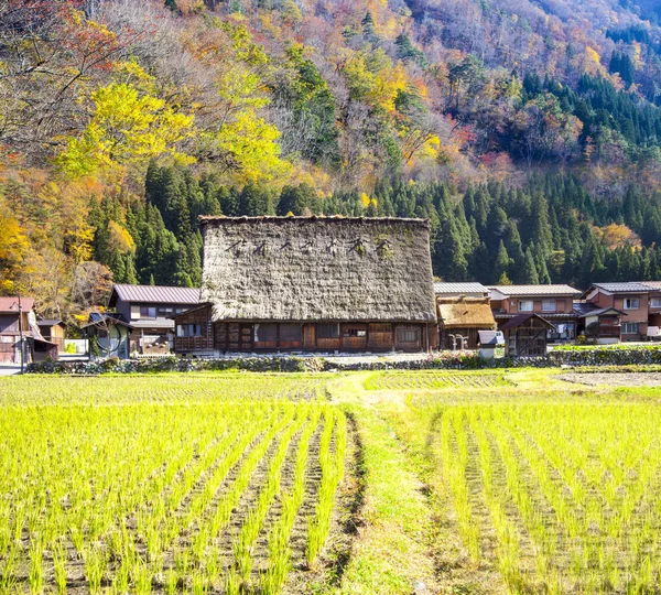 Vallen seizoen van historische dorpen van Shirakawa-go en Gokayama, J — Stockfoto