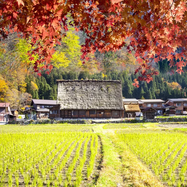 Temporada de otoño de Aldeas Históricas de Shirakawa-go y Gokayama, J — Foto de Stock