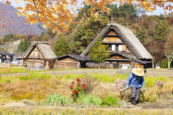 Stagione autunnale dei villaggi storici di Shirakawa-go e Gokayama, J — Foto Stock