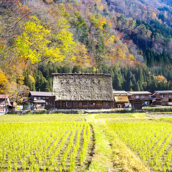 Temporada de otoño de Aldeas Históricas de Shirakawa-go y Gokayama, J —  Fotos de Stock