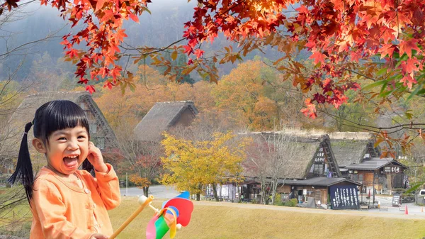 Shirakawa-go ve Gokayama, J Historic köylerin sezon sonbahar — Stok fotoğraf