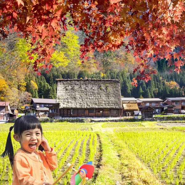 Podzim historické vesnice Shirakawa-go a Gokajama, J — Stock fotografie