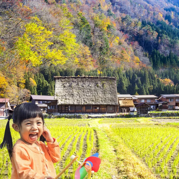 Shirakawa-go ve Gokayama, J Historic köylerin sezon sonbahar — Stok fotoğraf