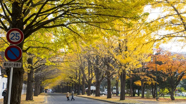 A temporada de outono na Universidade de Hokkaido — Fotografia de Stock
