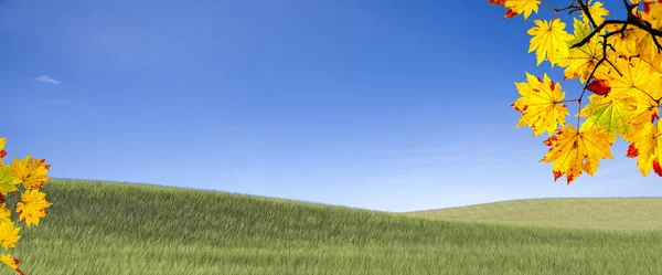 Fácil imagem belo bordo outono paisagem fundo — Fotografia de Stock