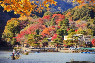 güzel Sonbahar sezonu akçaağaç ve Nehri, Arashiyama, Japonya
