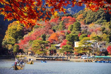güzel Sonbahar sezonu akçaağaç ve Nehri, Arashiyama, Japonya