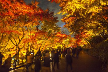 beautiful landscape veiw of autumn season with colorful maple tr clipart