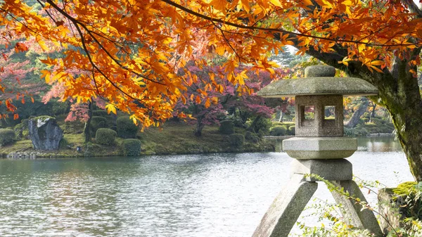 Vackra conlorful maple leaf levande träd i Japan resa hös — Stockfoto