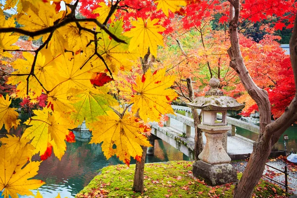 Krásný conlorful javorový list pulzující strom v Japonsku cestování autu — Stock fotografie
