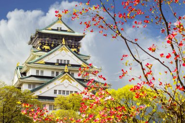 güzel Osaka Kalesi ile güzel arka plan, Osaka Japonya