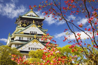 güzel Osaka Kalesi ile güzel arka plan, Osaka Japonya