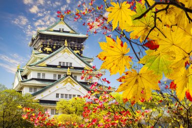 güzel Osaka Kalesi ile güzel arka plan, Osaka Japonya
