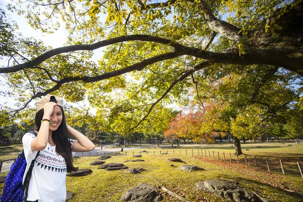 Época de outono com bela cor de bordo no Nara Park, Japão — Fotografia de Stock