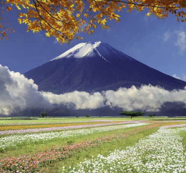 görüntü çok güzel renk ve adam güzel manzara