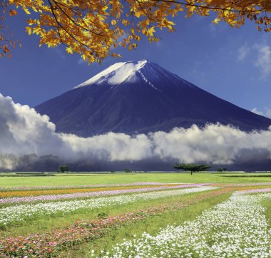 görüntü çok güzel renk ve adam güzel manzara