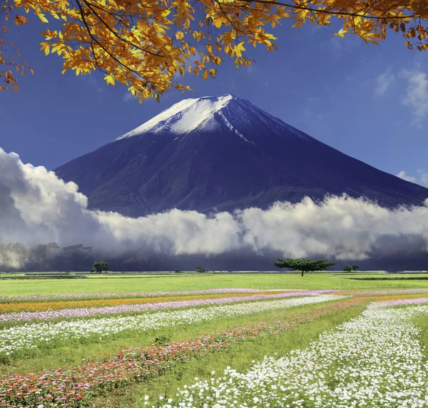 görüntü çok güzel renk ve adam güzel manzara