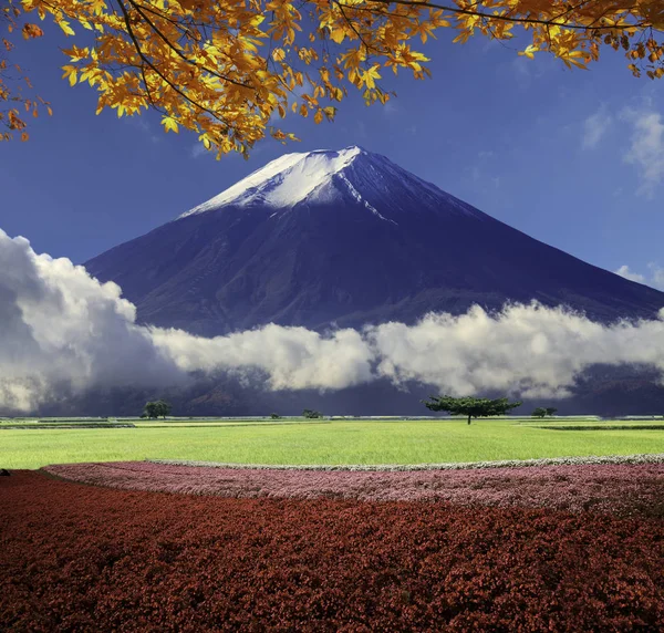 Foto van prachtige landschappen met zeer mooie kleur en pagina — Stockfoto