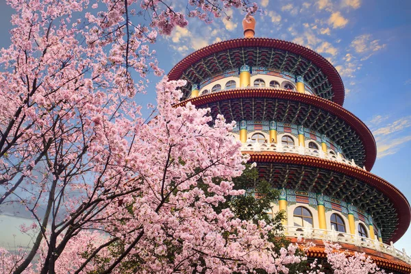 Beautiflu jardin sakura avec beau ciel à Taipei, Taiwan — Photo