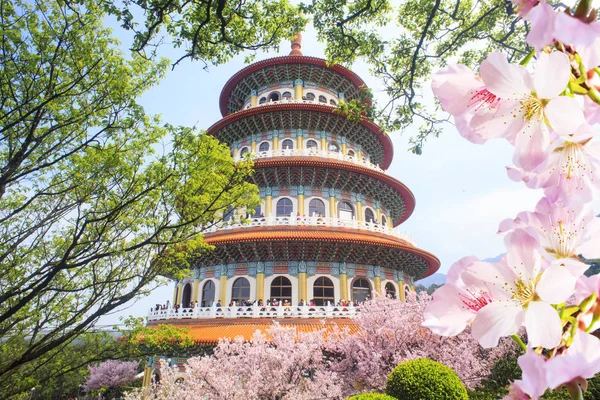 Bellissimo giardino sakura influenzale con bel cielo a Taipei, Taiwan — Foto Stock