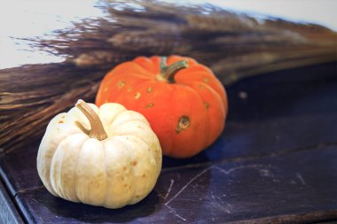 Sonbahar kabak Şükran günü arka plan - turuncu kabak