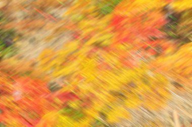 kolay resim güzel akçaağaç sonbahar manzara arka plan