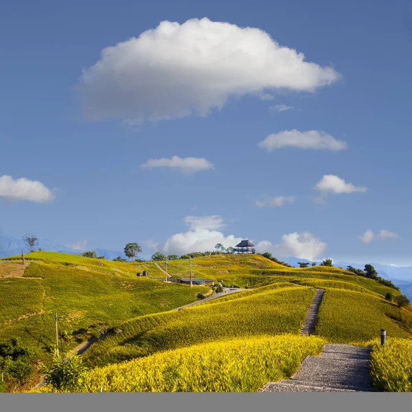 Oranje Daglelies bloem op zestig stone mountain, Fuli, Hualien, Ta — Stockfoto