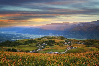 Altmış stone mountain, Fuli, Hualien, Ta portakal daylily çiçek